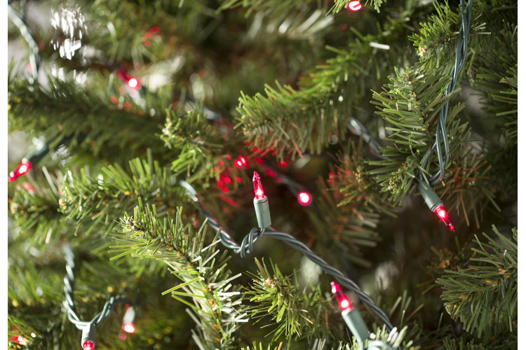 LED vs. Incandescent Christmas Lights What Are the Differences? Wayfair